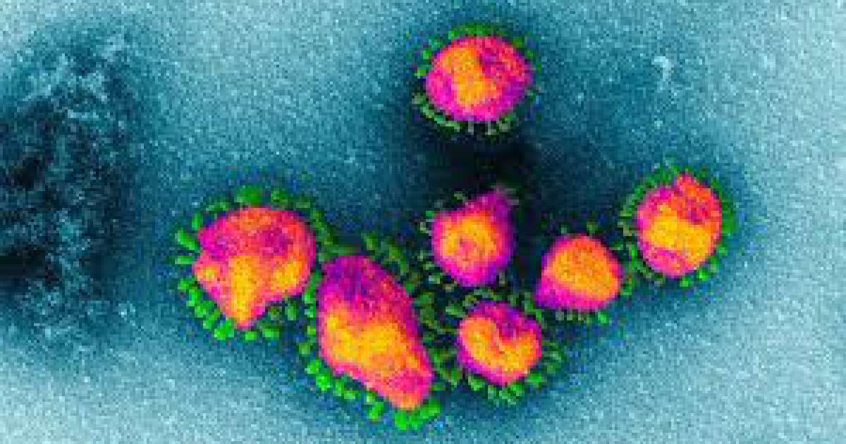 Coronavirus, in Puglia 43 nuovi casi: positivo il 2,02% dei tamponi