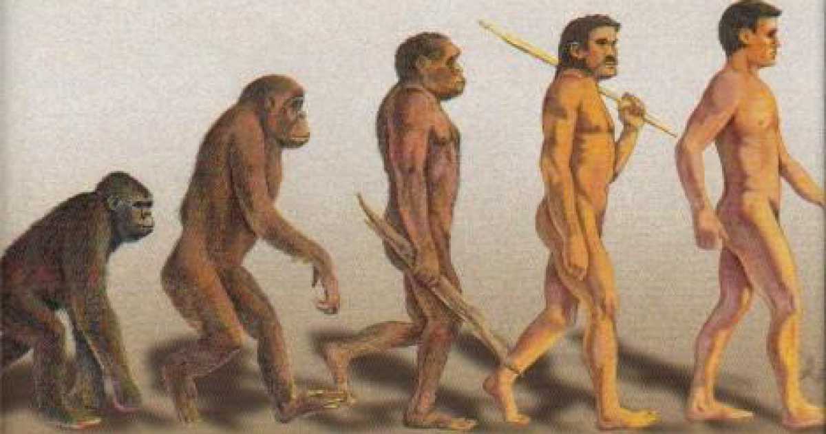 Da cosa deriva l'uomo? Da un topo-ragno: il ''purgatorius''