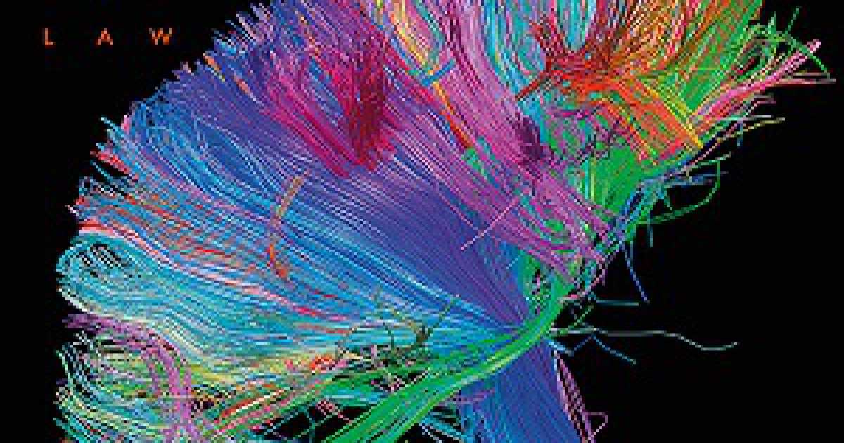 The 2nd law: il ritorno dei Muse all'insegna del sound dei Queen