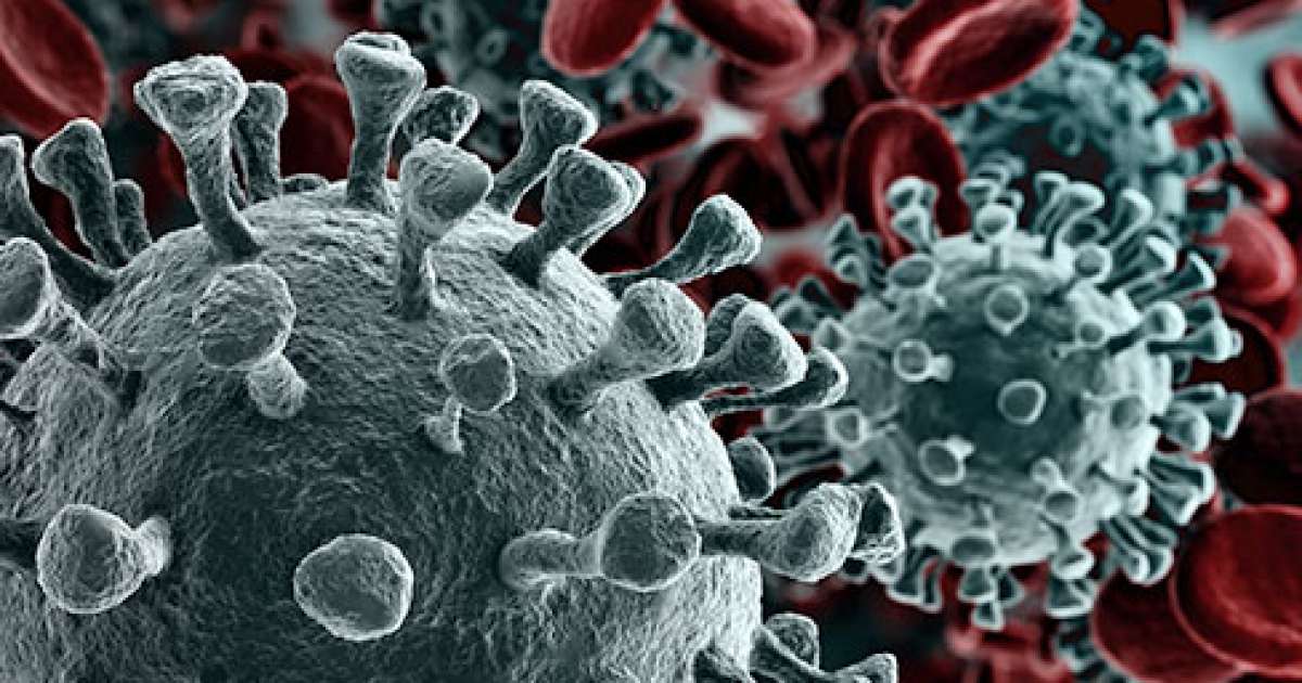 Coronavirus, in Puglia 11 nuovi casi: positivo lo 0,49% dei tamponi