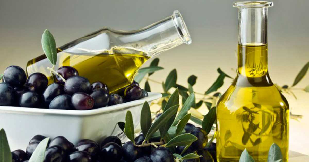 Facile dire olio, ecco la guida all'oro di Puglia: �Top quello di coratina�