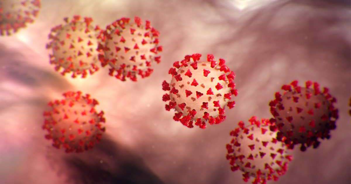 Coronavirus, 105 i nuovi casi in Puglia: positivo ''solo'' l'8% dei tamponi