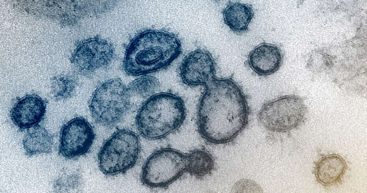 Coronavirus, in Puglia 53 nuovi casi: positivo il 4,6% dei tamponi
