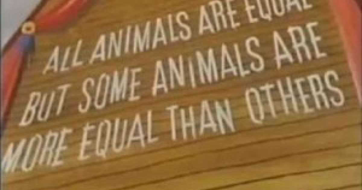 L'animalismo? E' solo una questione di gerarchie