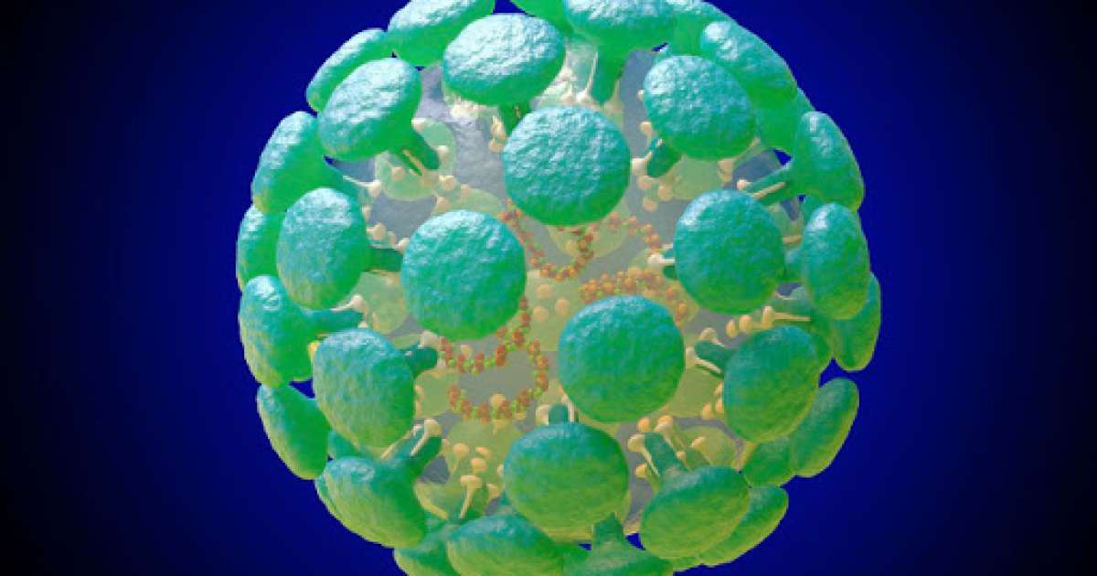 Coronavirus, in Puglia 42 nuovi casi: salgono a 478 i contagiati (10 residenti in altre regioni)