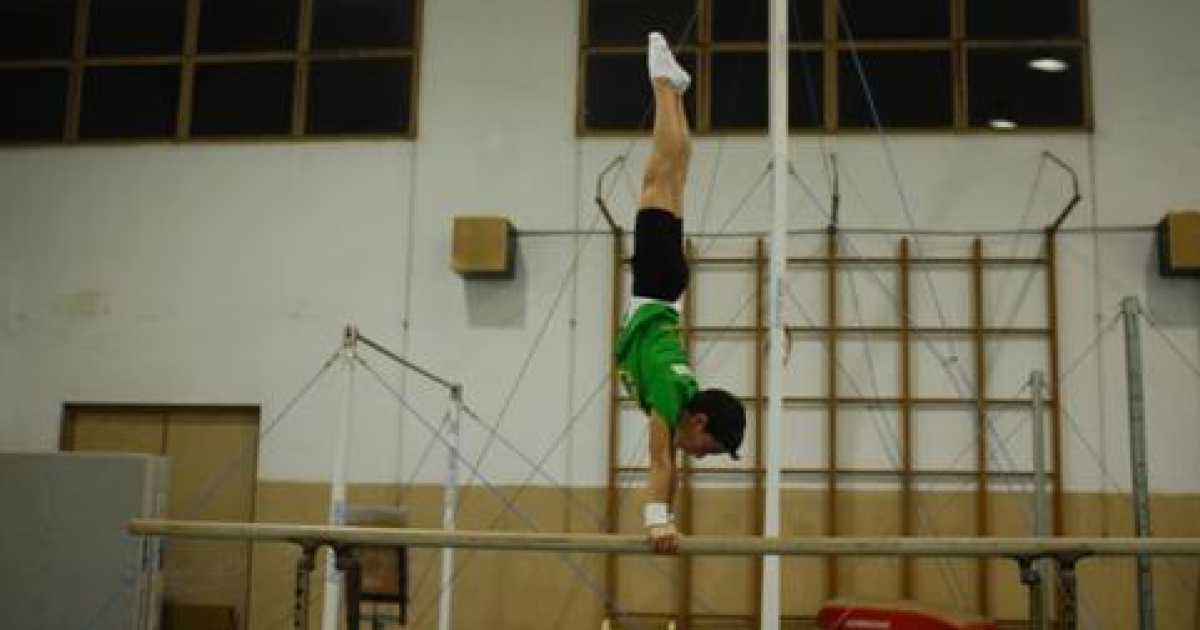 La ginnastica a Bari, buoni successi �ma federazioni del Sud trascurate�