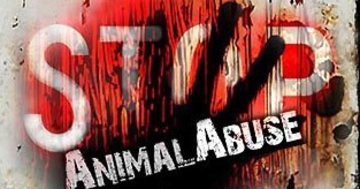 La zooerastia: c'� chi fa sesso con gli animali. Una petizione per vietarla