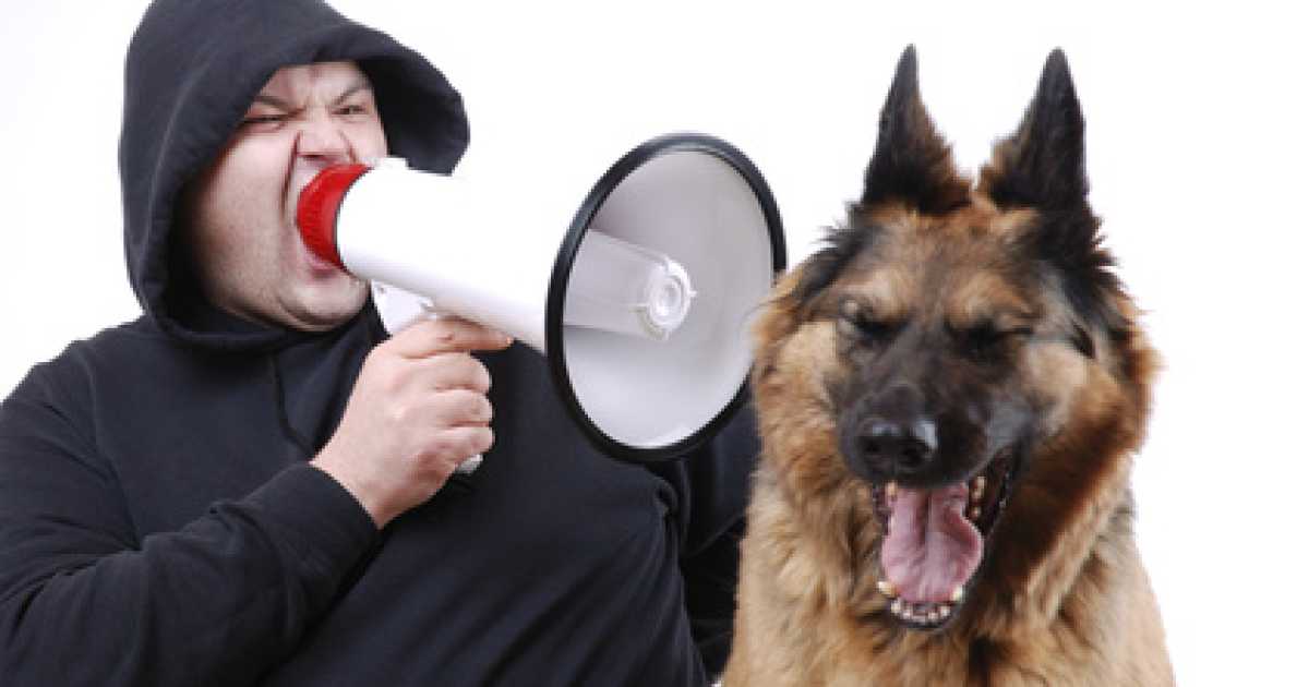 �Punizioni e indifferenza�: per educare i cani non bastano le coccole