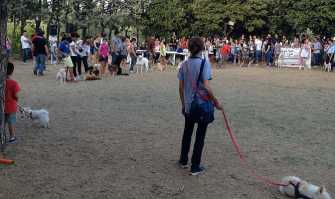 Palo del Colle, ''Festa del cane'' tra divertimento e riflessione