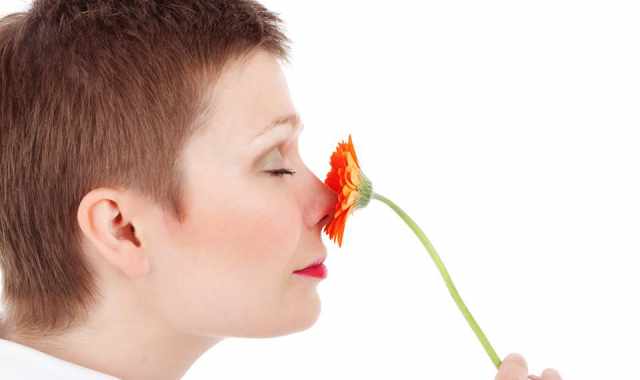 Professione: ''naso''. Ecco come si diventa creatori di profumi 