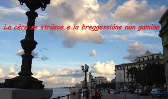 Il barese � una lingua o un dialetto? Ecco le due visioni contrastanti