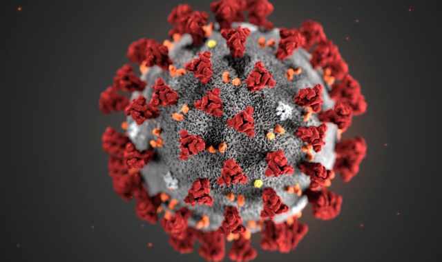 Coronavirus, in Puglia 55 nuovi casi: positivo il 3,1% dei tamponi 