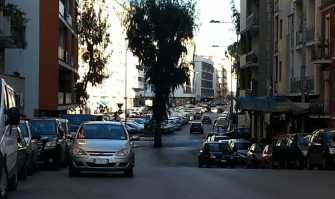 L'eucalipto che divide via Di Tullio: �Un simbolo, ma crea troppi disagi� 