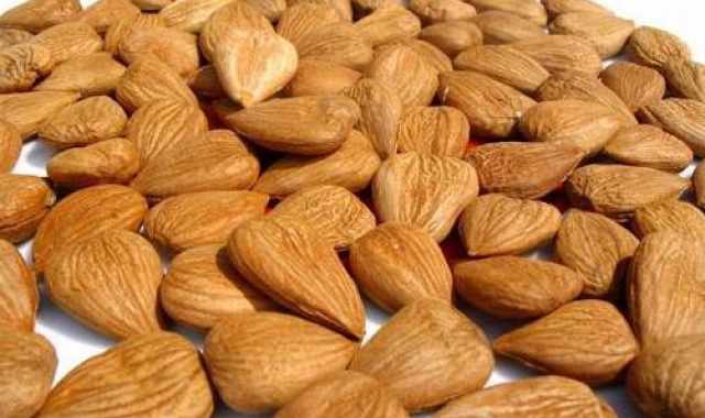 I semi dell'albicocca: panacea di ogni male o veleno mortale?