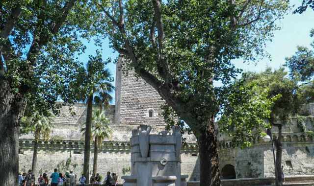 Bari, alberi senza tutela: si attende il censimento dei ''monumentali''