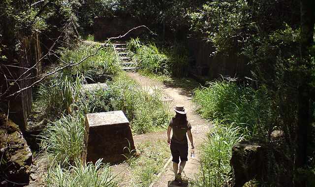 Lo spirito avventuroso di Indiana Jones negli emuli digitali