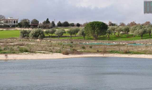 Noci, il solitario lago Milecchia: oasi naturalistica da sempre chiusa al pubblico