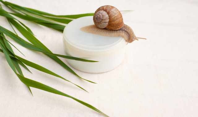 La crema alla bava di lumaca: quando  necessario un prodotto del genere?