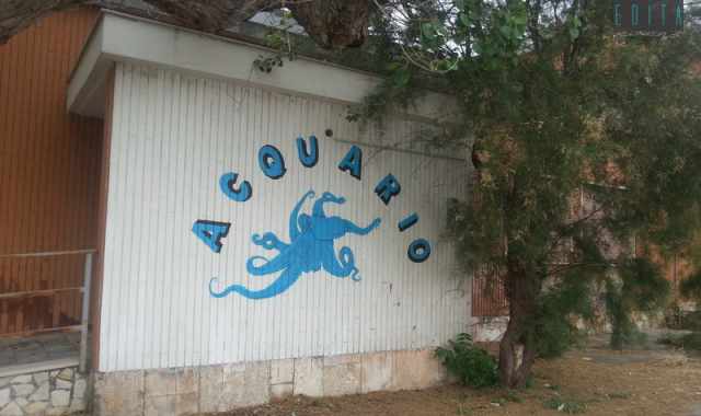La storia del grande acquario pubblico di Bari, chiuso ormai da sei anni