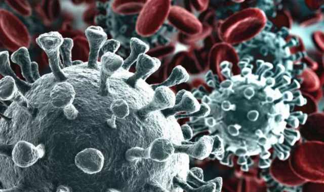 Coronavirus, in Puglia 120 nuovi casi: sale a 906 il numero dei contagiati