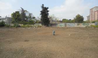 Nessun parco dedicato ai cani? Gruppo di cittadini se ne ''inventa'' uno 