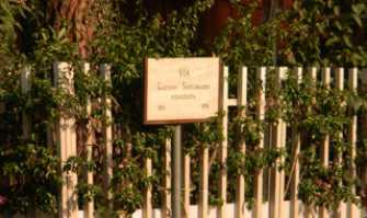 Via Santomauro, strada ''fantasma'' contesa tra Comune e privati