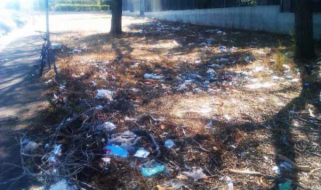 ''Verde in Comune'', sono passati 10 mesi e il progetto non decolla