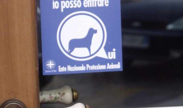 I cani? A Bari possono entrare in uffici e negozi, ma nessuno lo sa