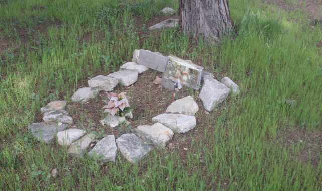 Japigia, cimitero abusivo per cani: per non gettare ''fido'' in discarica