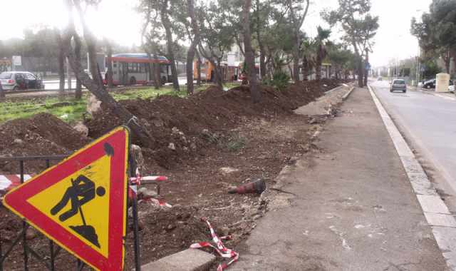 Japigia, per fare la pista ciclabile si abbattono gli alberi