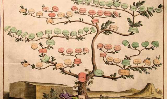 Da Amoruso a Cassano, da Fiore a Lorusso: ma qual  l'origine dei cognomi baresi?