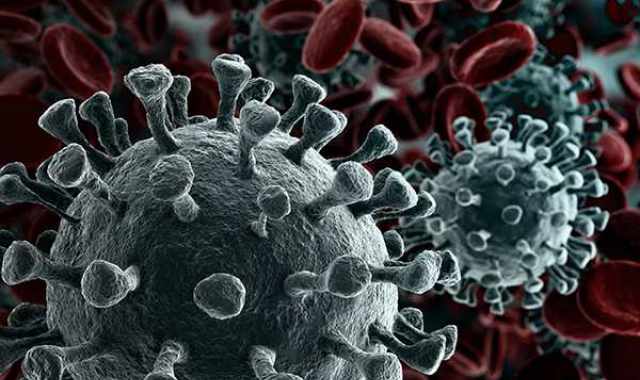 Coronavirus, in Puglia 11 nuovi casi: positivo l'1,02% dei tamponi