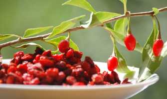 Alimentazione, i miti da sfatare: �Mangiate ciliegie non bacche di goji�