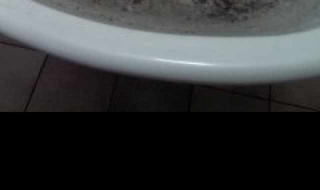 Giurisprudenza e Scienze politiche, bagni sporchi e impraticabili: di chi  la colpa