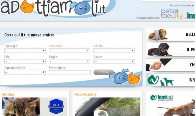 ''Adottiamoli'': su internet scegli un randagio per taglia, sesso ed et