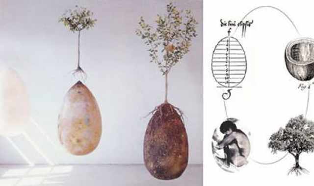 Capsula mundi, il cimitero green: alberi e uova al posto di lapidi e bare