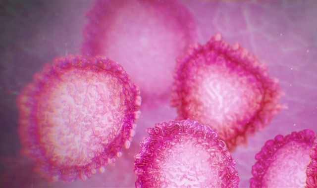 Coronavirus, in Puglia 58 nuovi casi: positivo solo il 5,5% dei tamponi