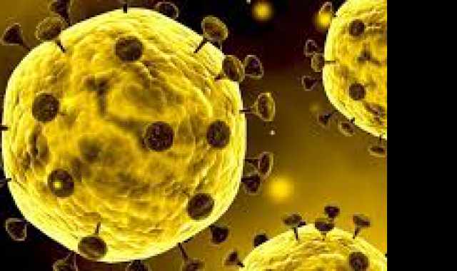 Coronavirus, in Puglia 10 nuovi casi: positivo l'1,01% dei tamponi