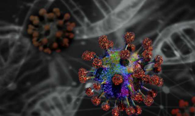 Coronavirus, in Puglia 30 nuovi casi: positivo l'1,56% dei tamponi