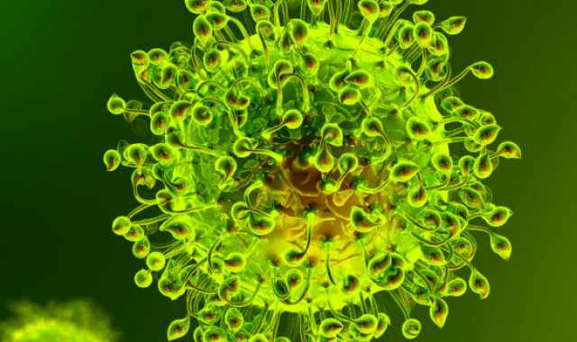 Coronavirus, in Puglia 11 nuovi casi: positivo lo 0,60% dei tamponi