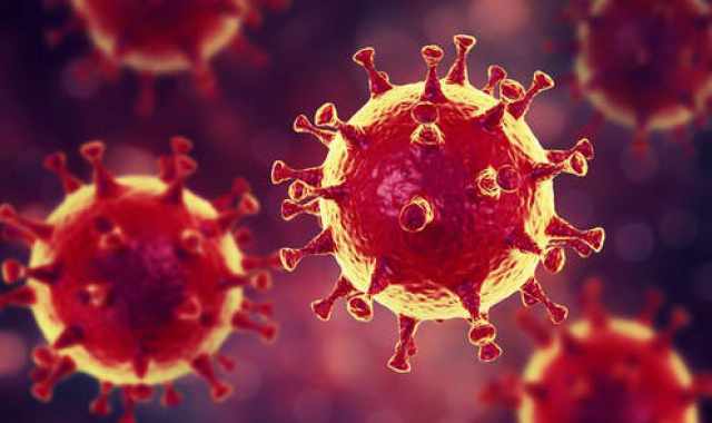 Coronavirus, 31 nuovi casi in Puglia: positivo l'1,43% dei tamponi