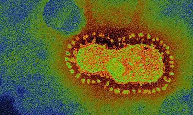 Coronavirus, in Puglia 4 nuovi casi: positivo lo 0,15% dei tamponi