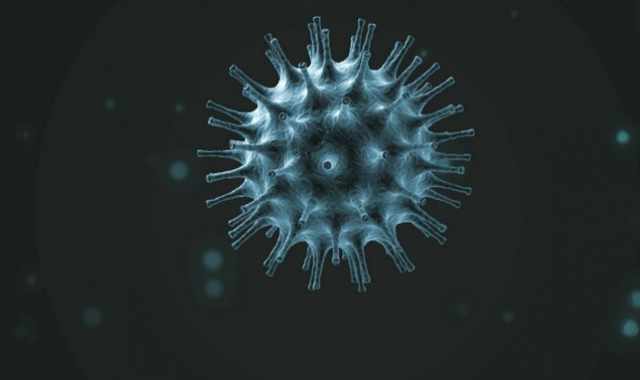 Coronavirus, in Puglia 103 nuovi casi: sale a 581 il numero dei contagiati