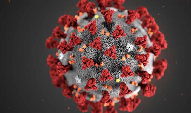 Coronavirus, in Puglia 95 nuovi casi: positivo il 5.75% dei tamponi