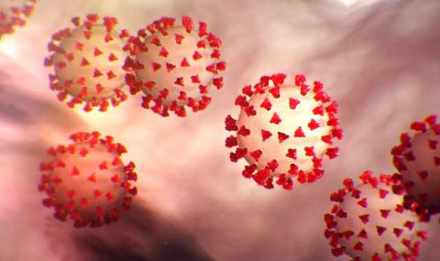 Coronavirus, 42 i nuovi casi in Puglia: positivo il 2% dei tamponi