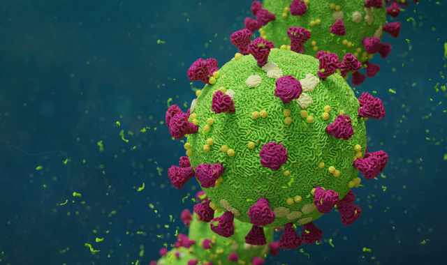 Coronavirus, in Puglia nessun caso e nessun decesso