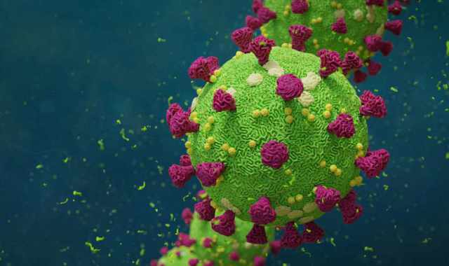 Coronavirus, in Puglia un solo nuovo caso: positivo lo 0,03% dei tamponi