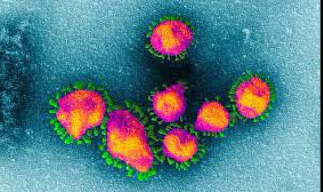 Coronavirus, in Puglia 43 nuovi casi: positivo il 2,02% dei tamponi