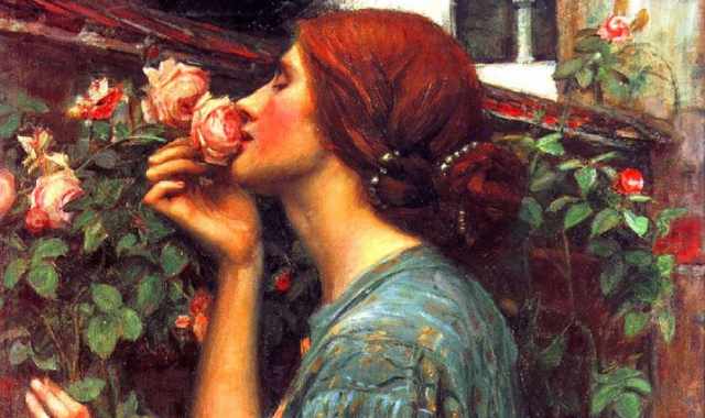 L'esteta: quell'implacabile voglia di ricercare a tutti i costi la Bellezza