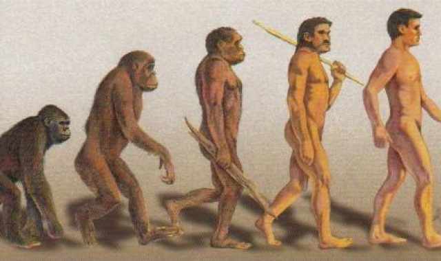 Da cosa deriva l'uomo? Da un topo-ragno: il ''purgatorius''